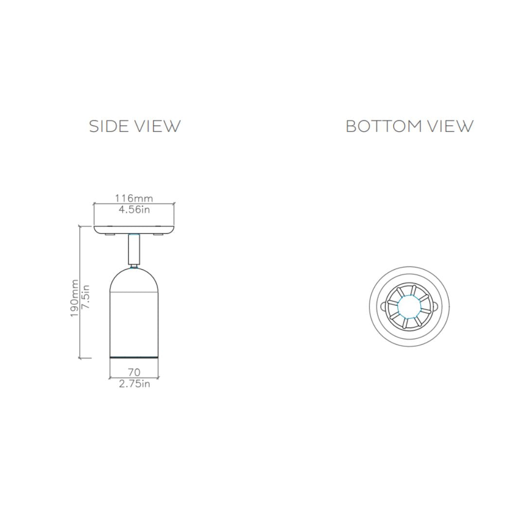 Bert Frank - Doma Spotlicht