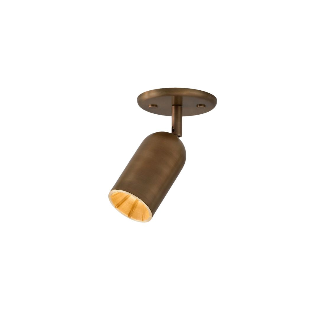 Bert Frank - Doma Spotlicht