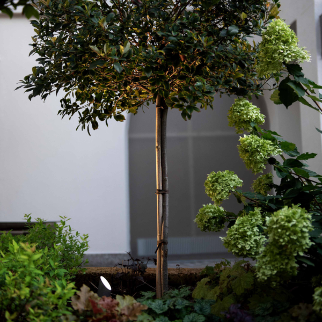 Wever & Ducre - Stipo 3.0 Vloerlamp