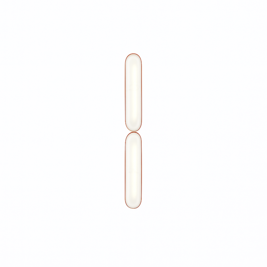 A-N-D - Vale Acrylic 2 units Verticaal Wandlamp/Plafondlamp