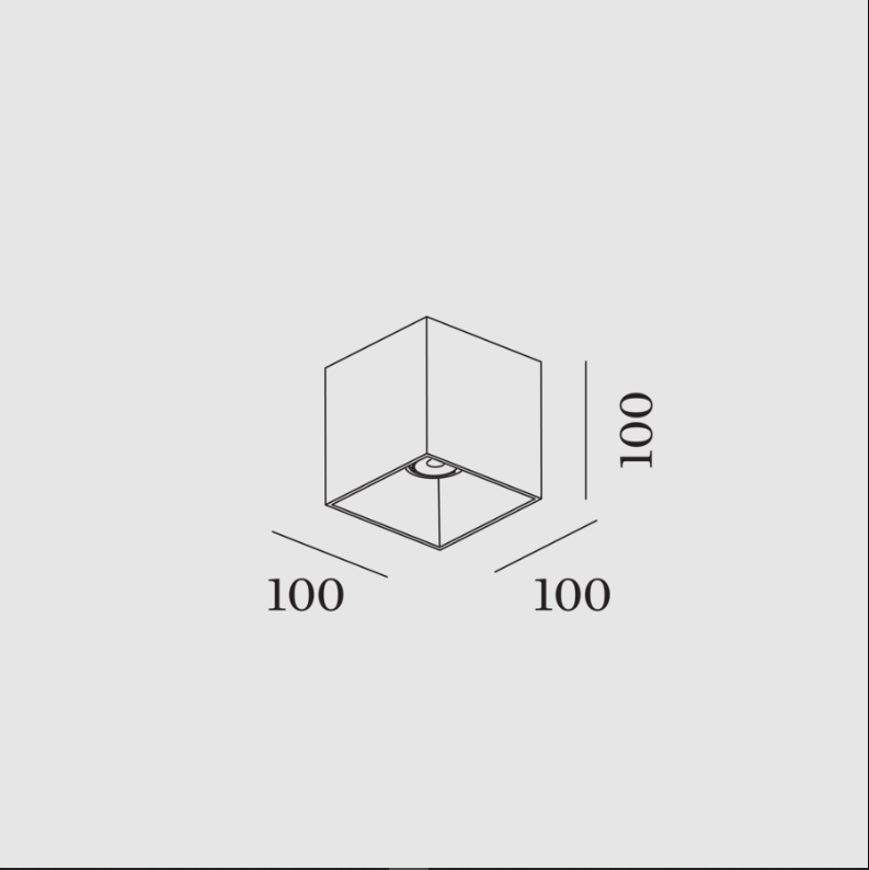 Wever & Ducre - Box 1.0 PAR16 Plafondlamp - KOOT