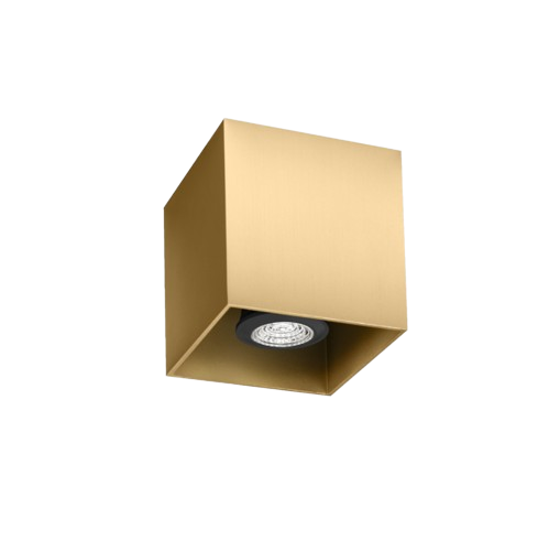 Wever & Ducre - Box 1.0 PAR16 Plafondlamp - KOOT