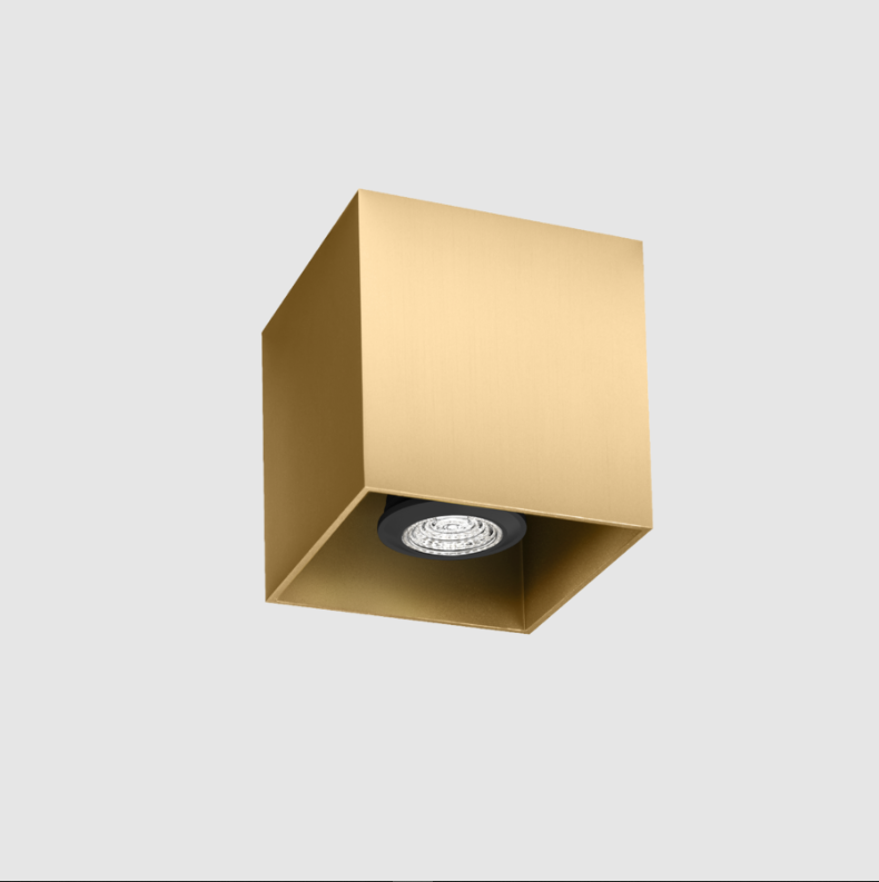 Wever & Ducre - Box 1.0 PAR16 Plafondlamp - KOOT