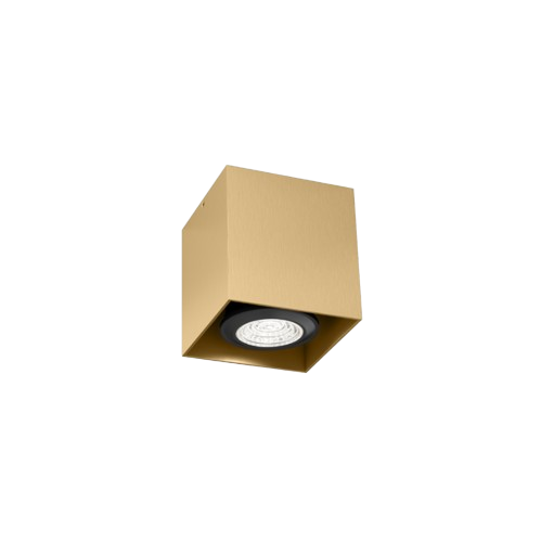 Wever & Ducre - Box Mini 1.0 PAR16 Spot - KOOT