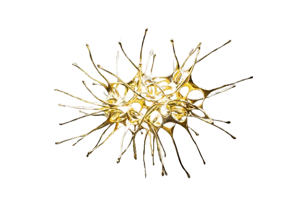 Terzani - Dragon Oval - KOOT