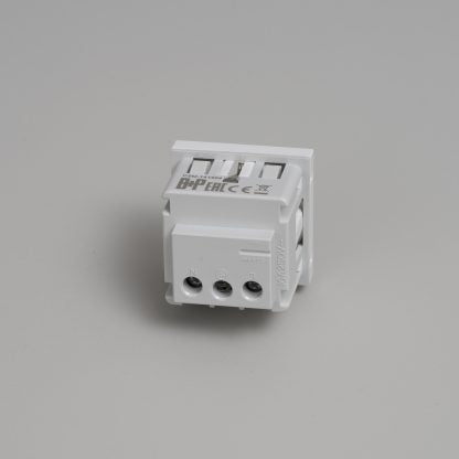 Buster and Punch - SCHUKO SOCKET MODULE / TYPE F / 45MM - KOOT
