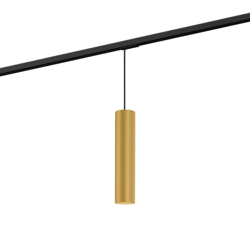 Wever & Ducre - Ray on track (1F) 3.0 PAR16 Hanglamp - KOOT