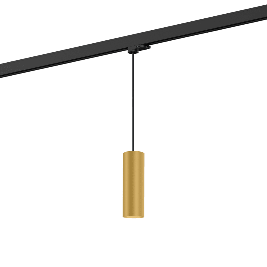 Wever & Ducre - Ray on track (1F) 2.0 PAR16 Hanglamp - KOOT