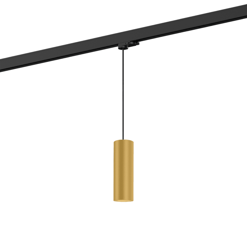 Wever & Ducre - Ray on track (1F) 2.0 PAR16 Hanglamp - KOOT