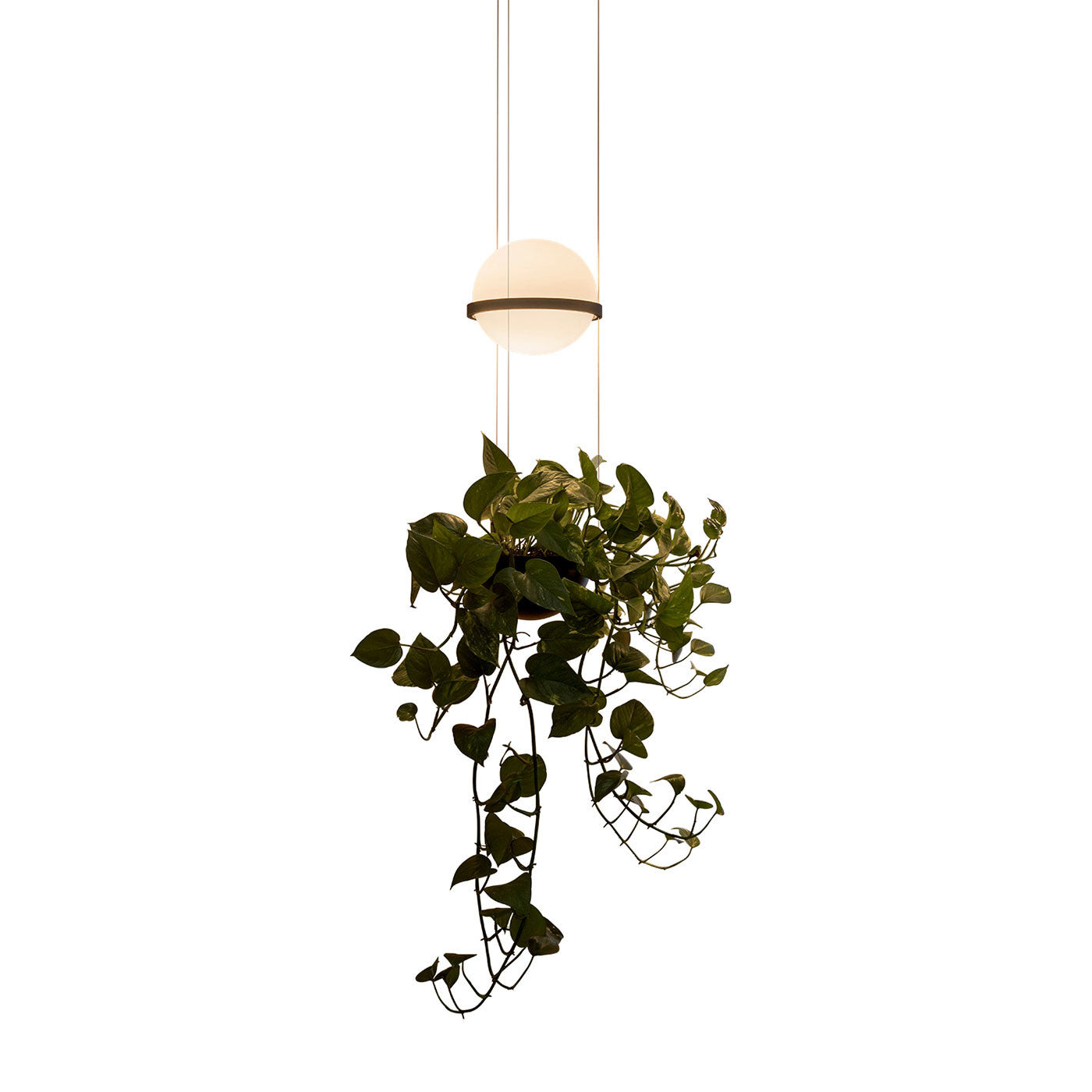 Vibia - Palma 3724 hanglamp - KOOT