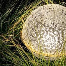 Catellani & Smith - Medousê F Ø 50 vloerlamp - KOOT