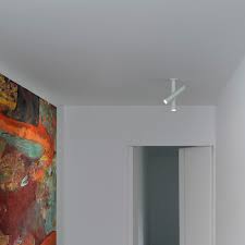 Nemo - Tubes plafondlamp - KOOT