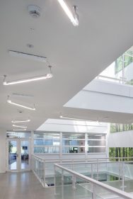 Marset - Neón Luz NL - S Hanglamp - KOOT