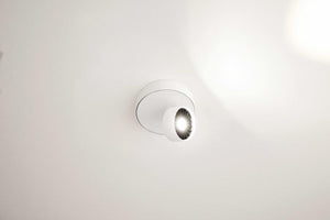 Radius - Basica 1 Spot - KOOT