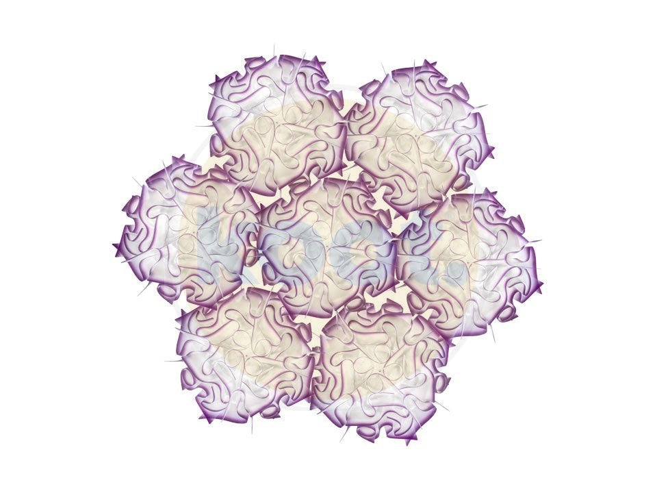 Slamp - Veli 7 Hanglamp - KOOT