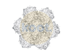 Slamp - Veli 7 Hanglamp - KOOT