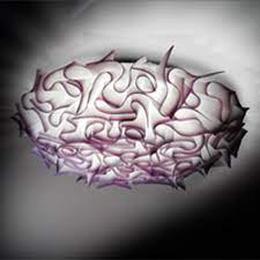 Slamp - Veli Groot Plafondlamp / Wandlamp - KOOT