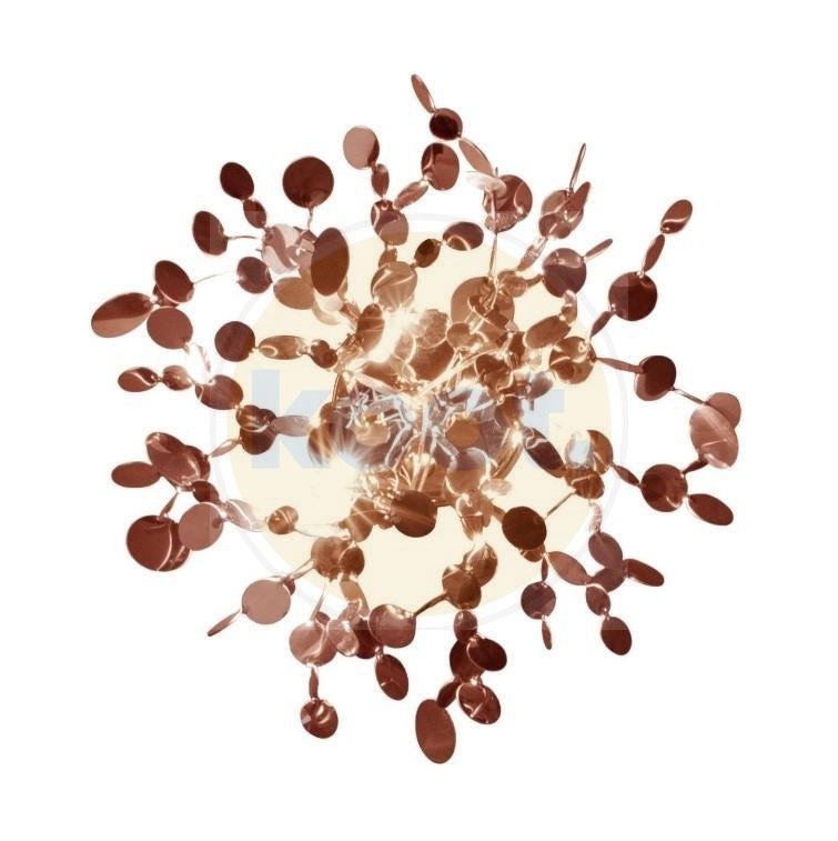 Terzani - Argent N97A Wandlampen - KOOT