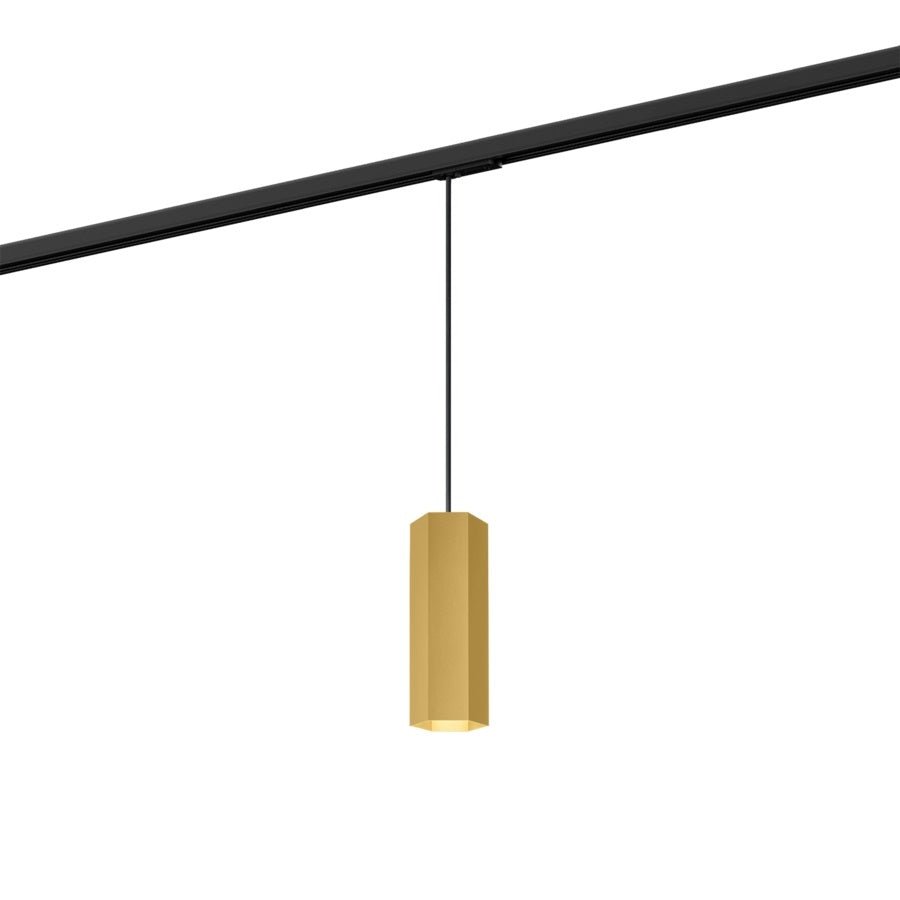 Wever & Ducre - Hexo On Track 2.0 PAR16 Hanglamp - KOOT
