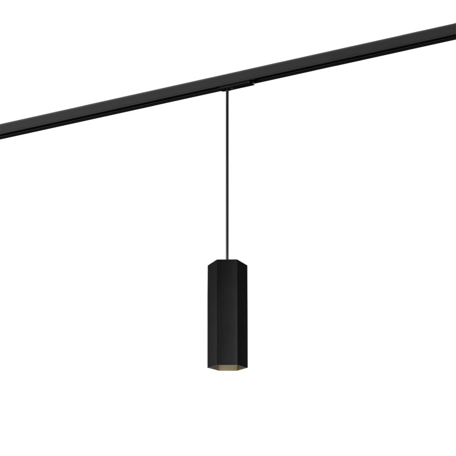 Wever & Ducre - Hexo On Track 2.0 PAR16 Hanglamp - KOOT
