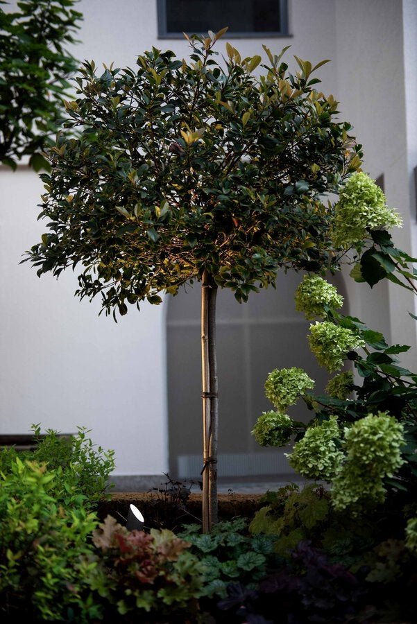 Wever & Ducre - Stipo 2.0 Vloerlamp - KOOT