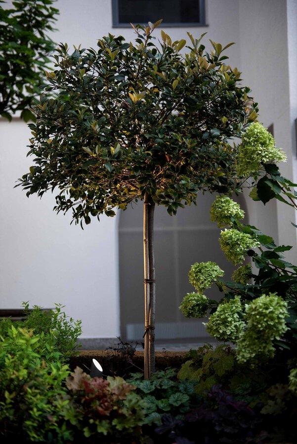 Wever & Ducre - Stipo 4.0 Vloerlamp - KOOT