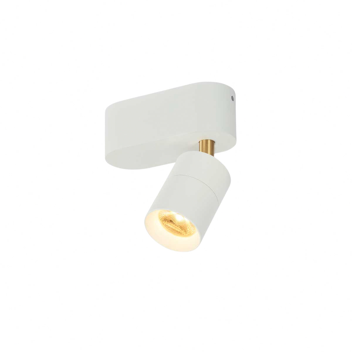Trizo21 - Audette-Varié up Rounded Spot
