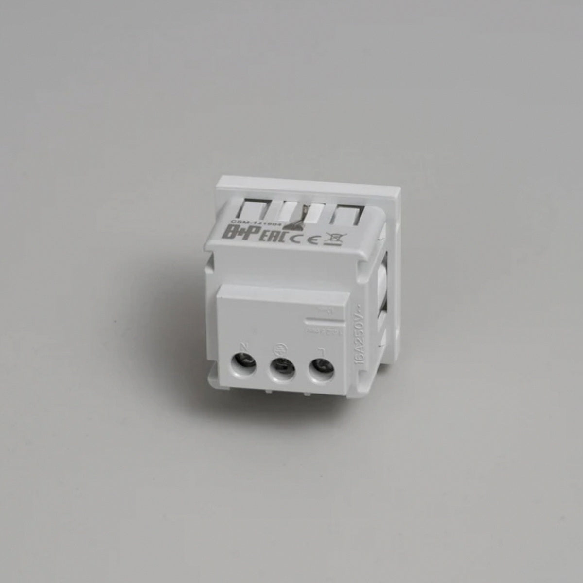 Buster and Punch - SCHUKO SOCKET MODULE / TYPE F / 45MM