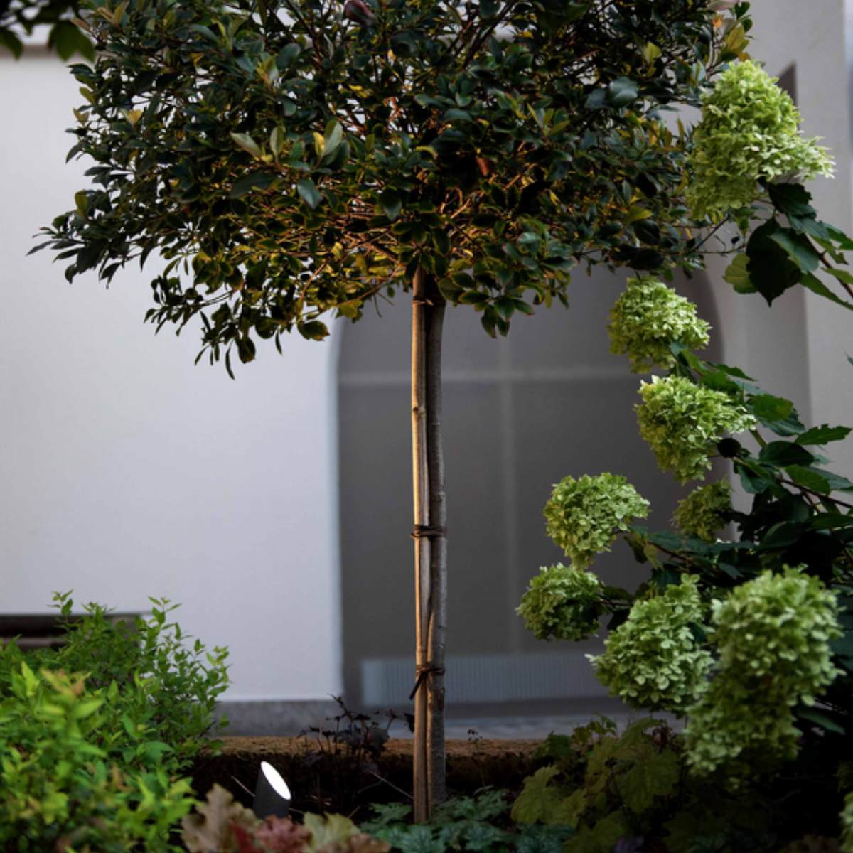 Wever & Ducre - Stipo 2.0 Vloerlamp