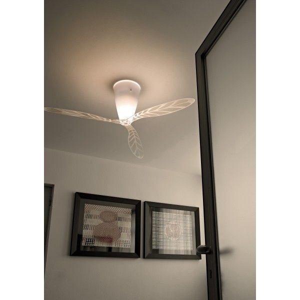 Luceplan - Blow plafondlamp - KOOT